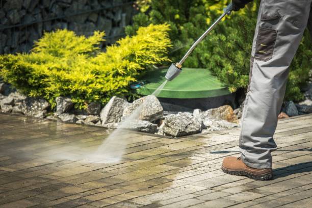 Best Dumpster Area Cleaning  in Isla Vista, CA