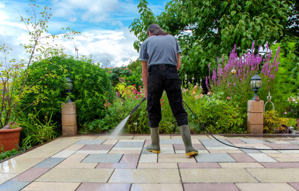 Best Sidewalk and Walkway Cleaning  in Isla Vista, CA