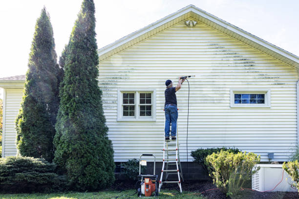 Best Patio and Deck Pressure Washing  in Isla Vista, CA